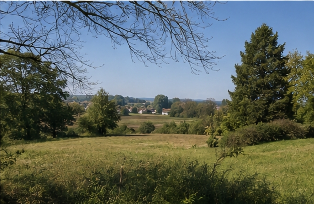 Vue sur les collines du Brabant wallon
